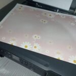 WhatsApp Image 2026-03-05 at 16.27.44