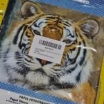 Papel Fotográfico Glossy 180g